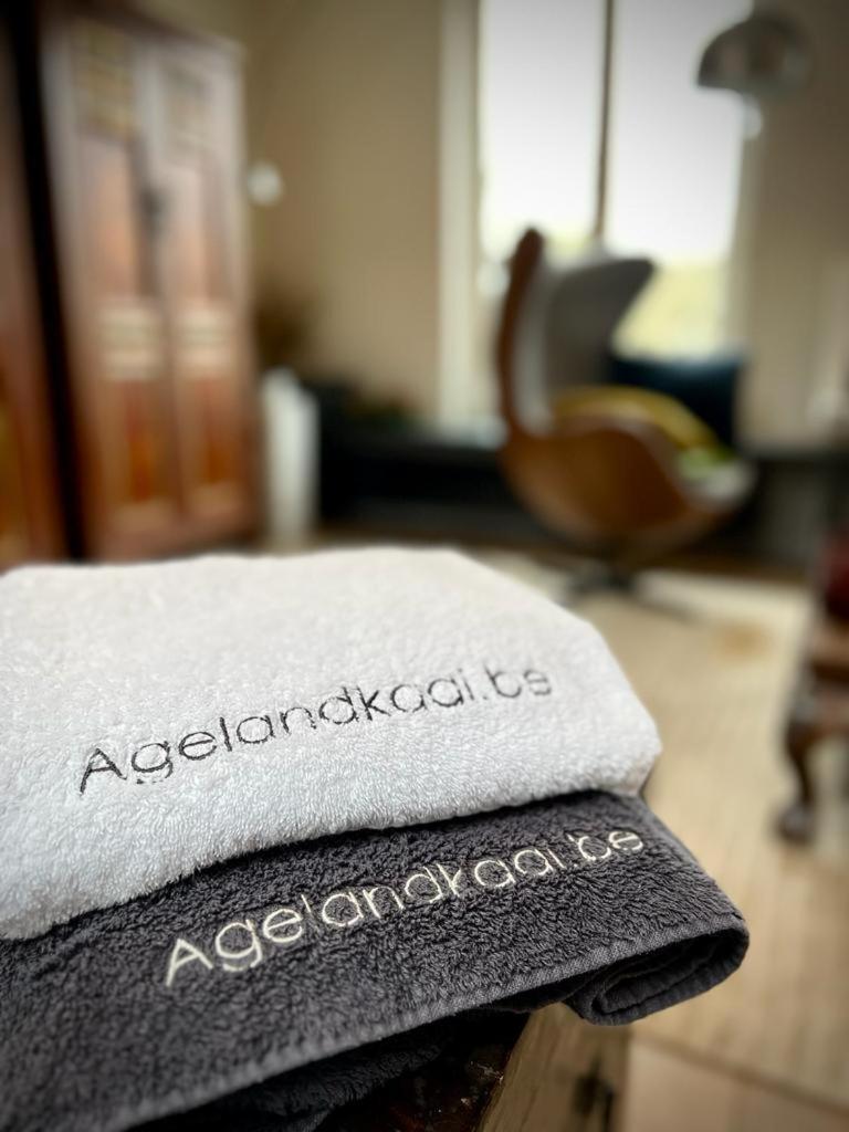 La Belletage By Agelandkaai Be With Free Parking Gante Exterior foto