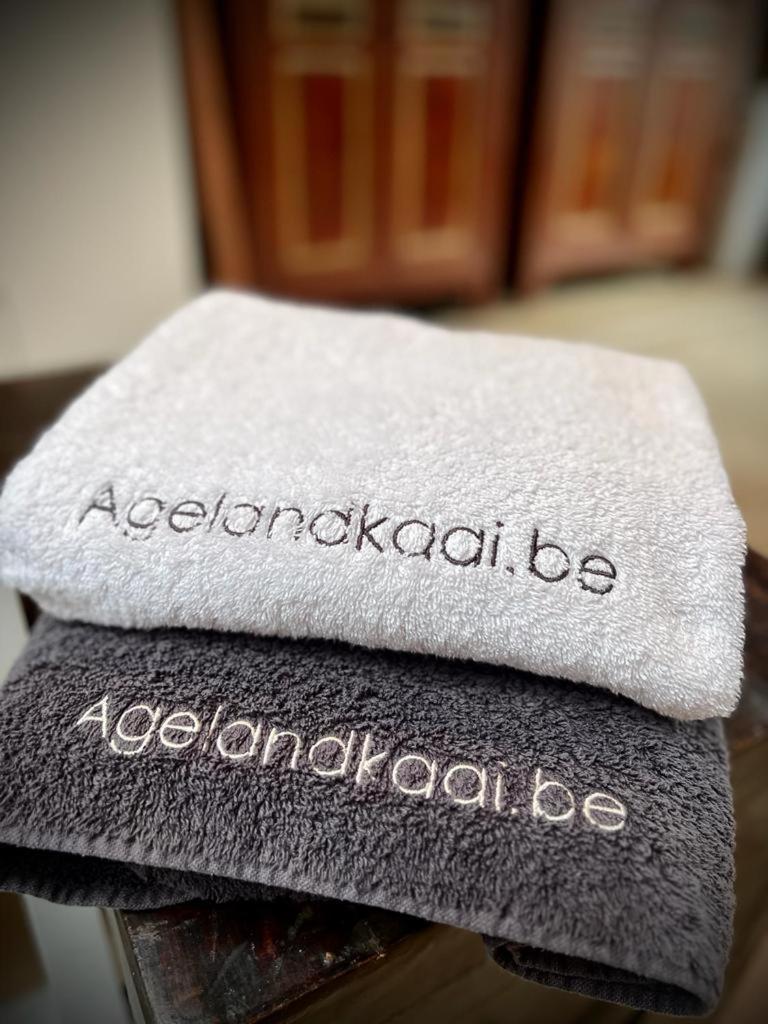 La Belletage By Agelandkaai Be With Free Parking Gante Exterior foto